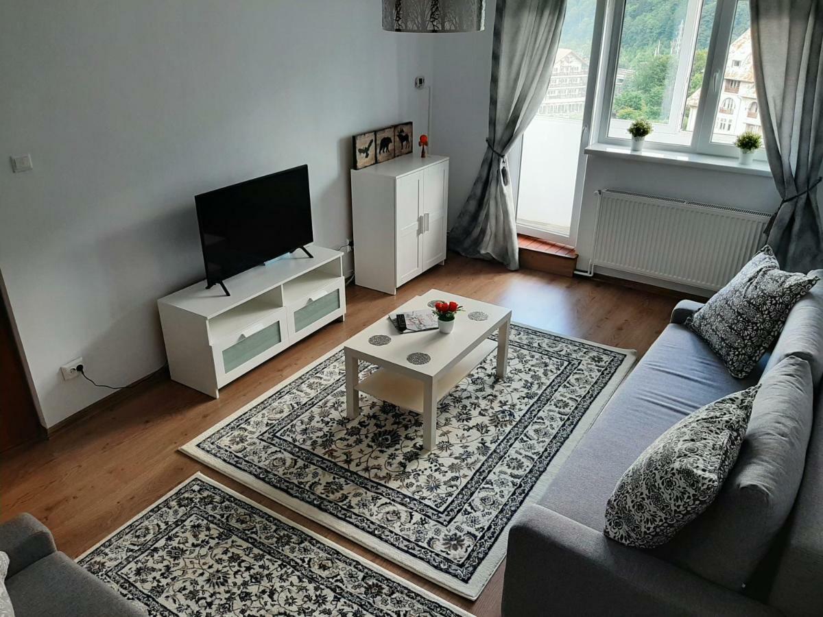 Lidia'S Apartment Sinaia Buitenkant foto
